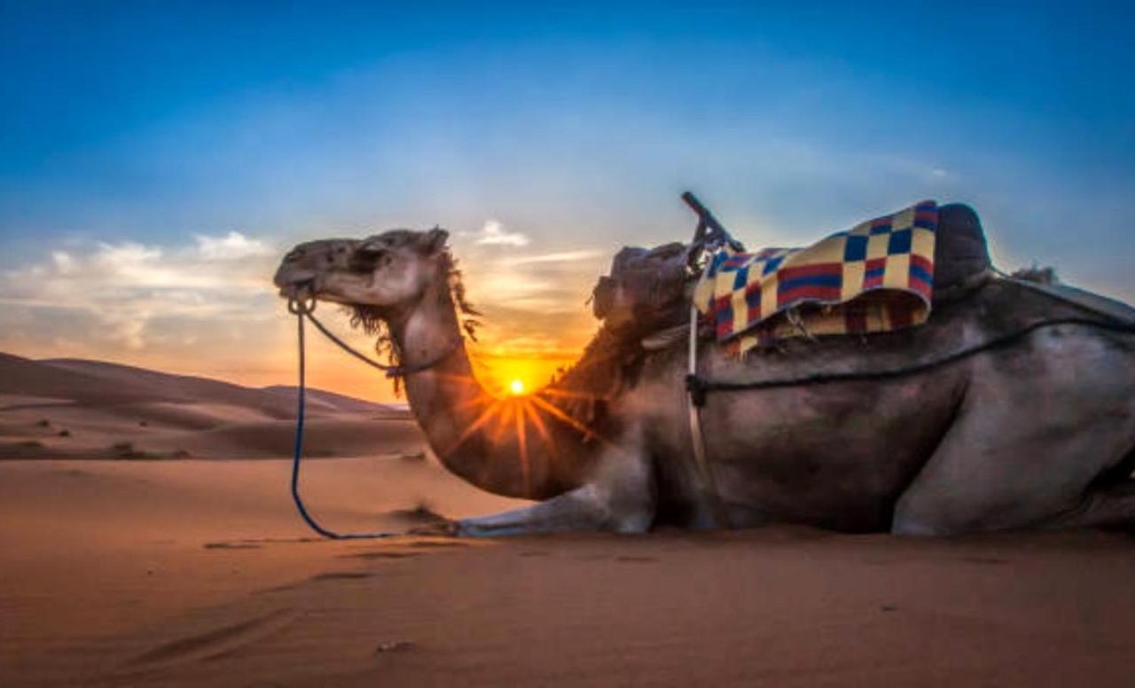Holiday Desert Camp Merzouga Exteriér fotografie